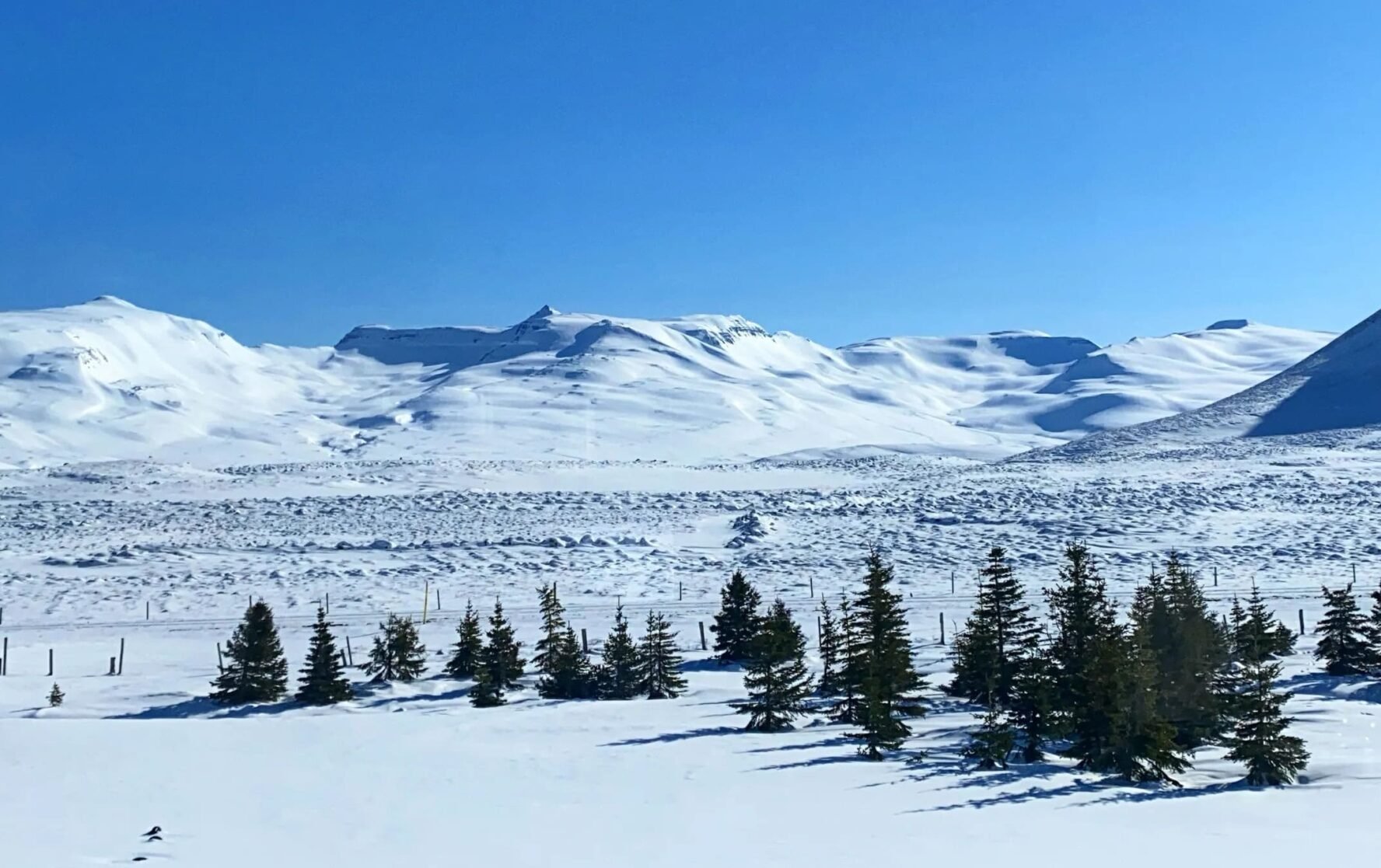 Snowy mountains and trees landscape for backcountry skiing, North Iceland