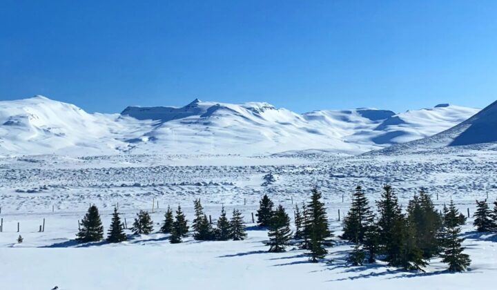 Snowy mountains and trees landscape for backcountry skiing, North Iceland