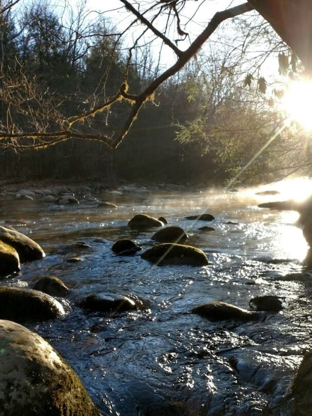 Great Smoky Mountains adventure tour