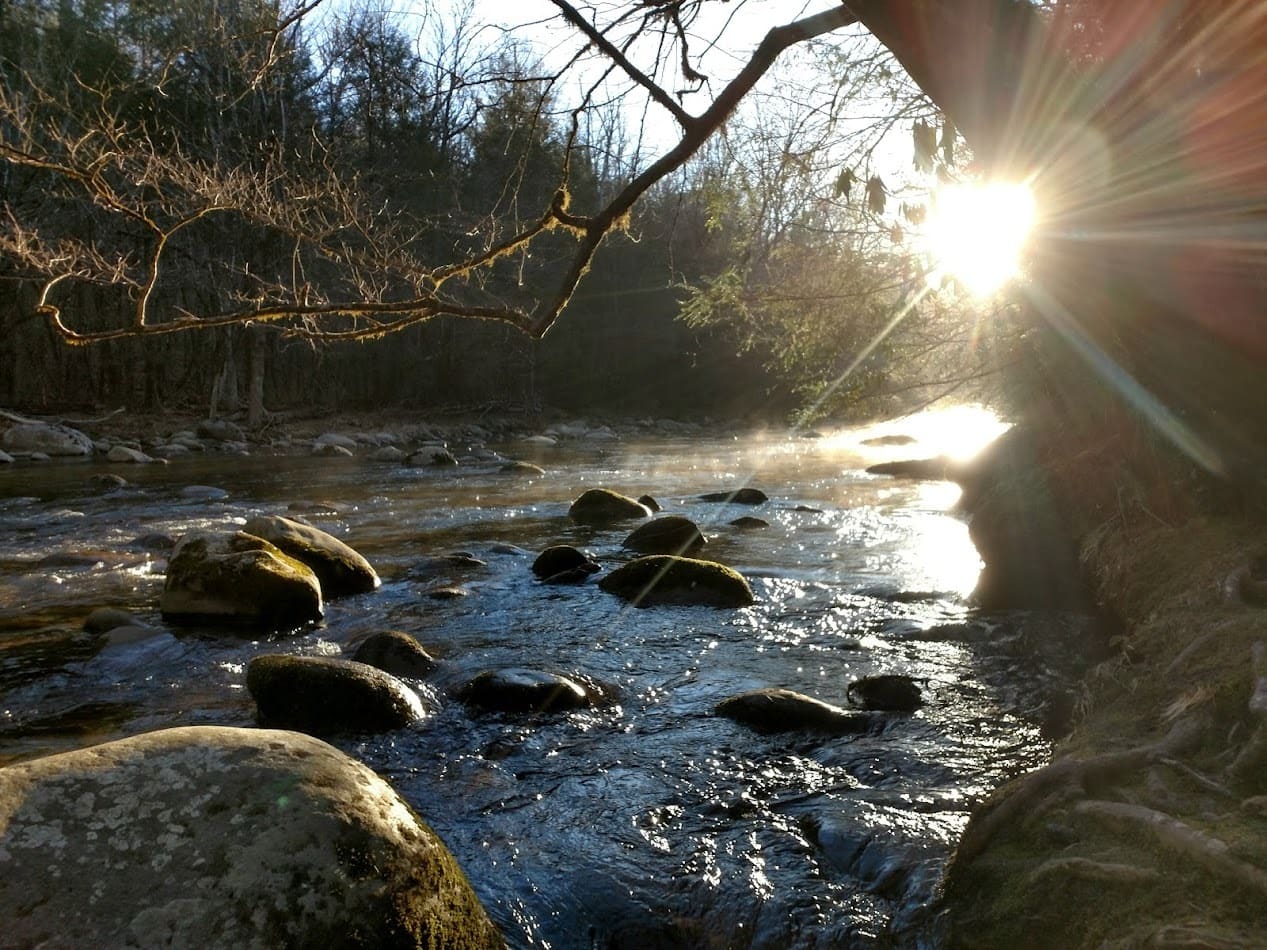 Stream in Smoky Mountains