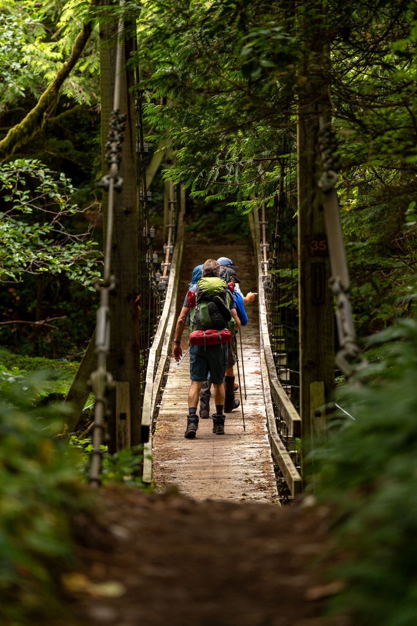Suspension bridge crossing