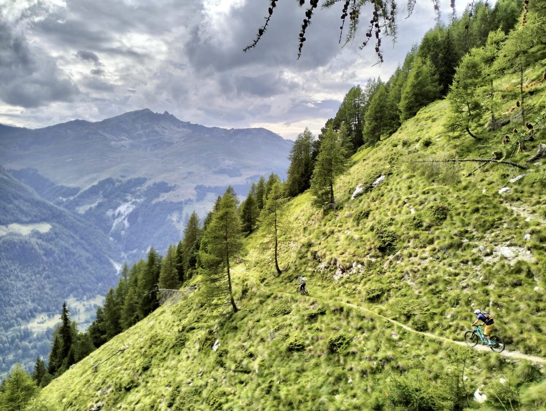 A green landscape on the Swiss Vaiais, Switzerland