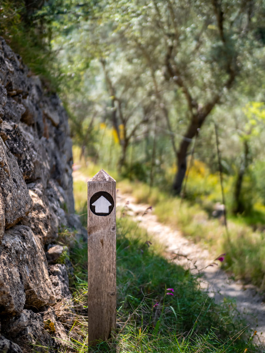 Trail, hiking in Mallorca