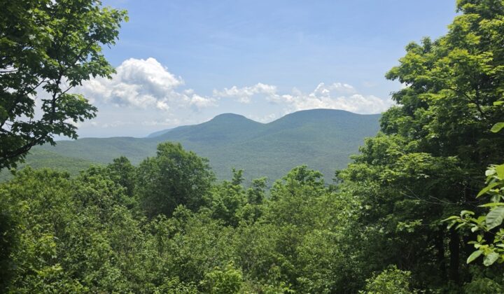 views woods catskills
