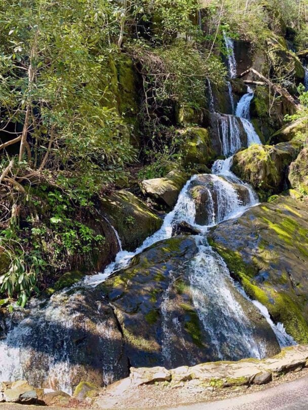Great Smoky Mountains Hiking Tour