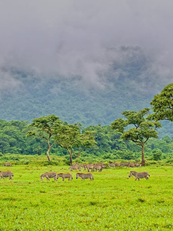 Mount Meru guided climb