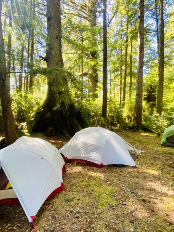 Kayaking Broken Group islands 5 day