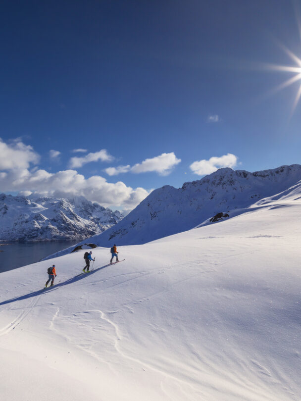 Bodo ski tour, Lofoten sail