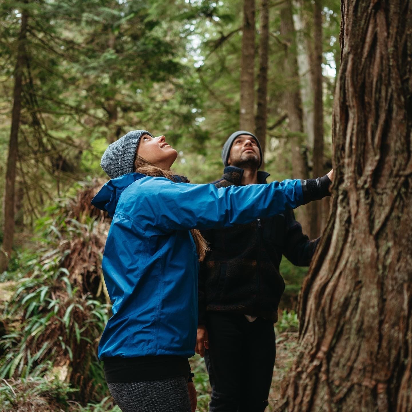 Kayakers in the woods
