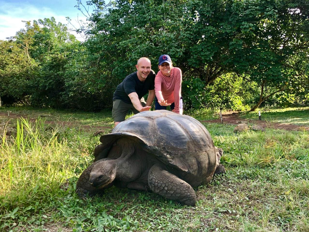 Giant tortoise Santa Cruz