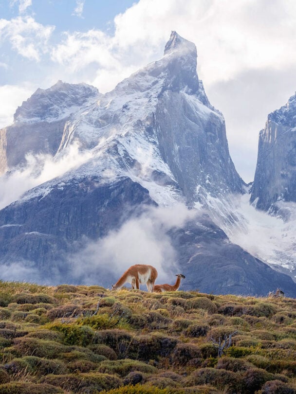 W Trek in Torres del Paine guided tour