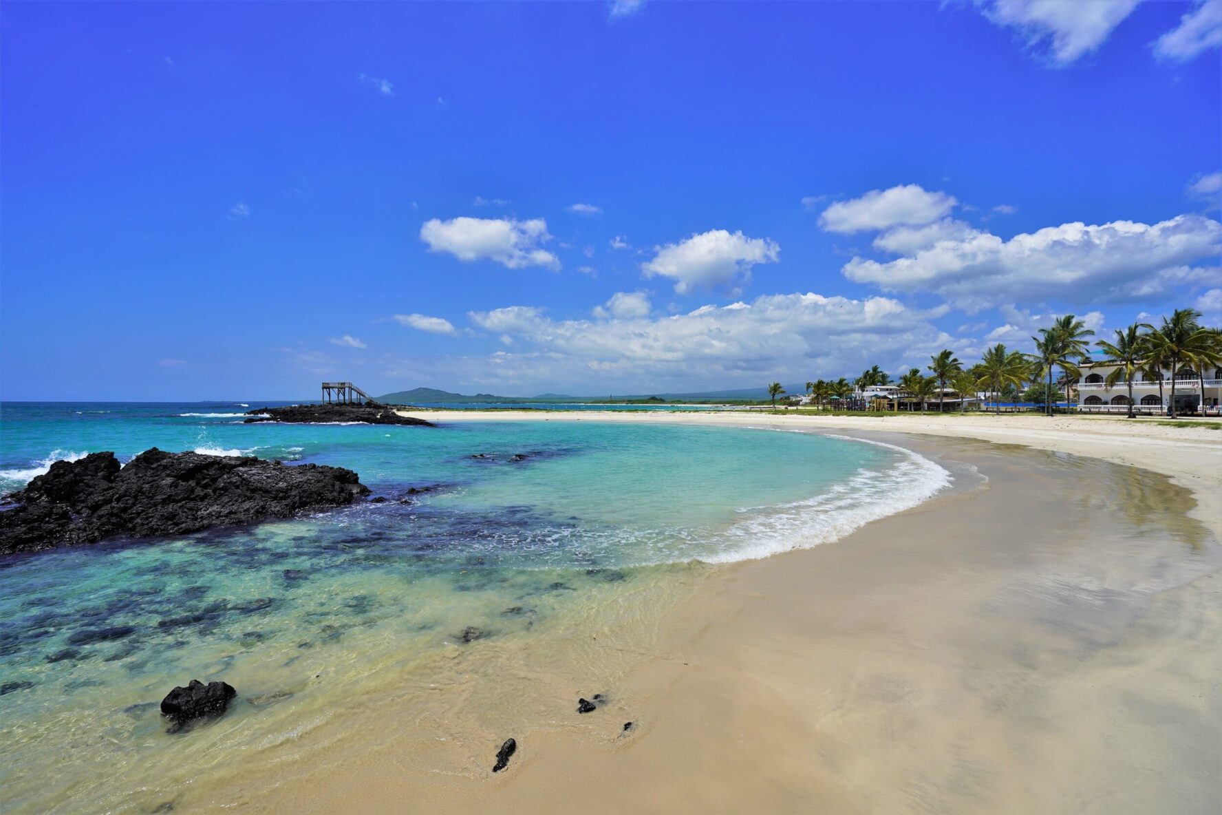 Isabela beach Ecuador