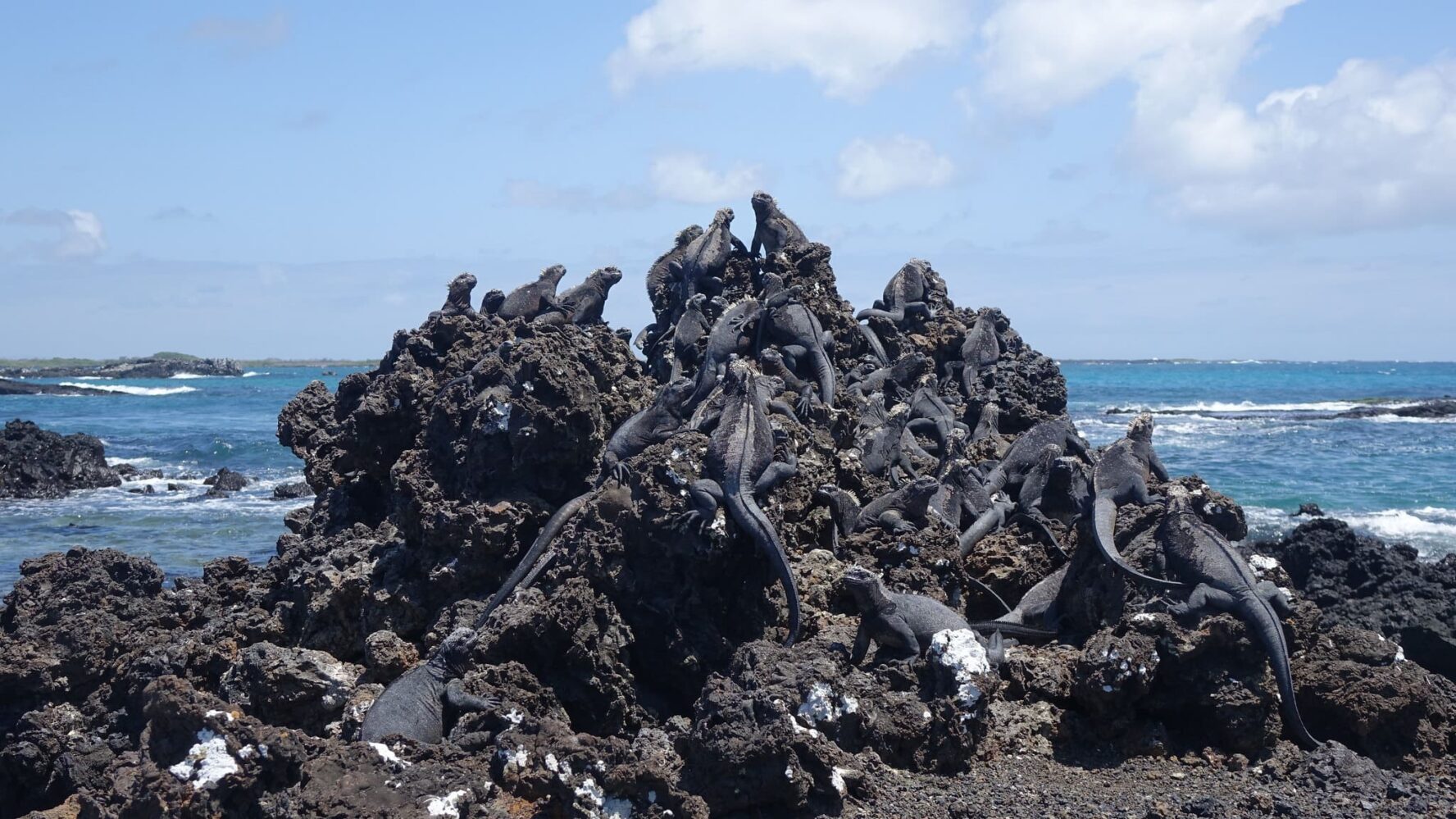 Isabela island Komodo