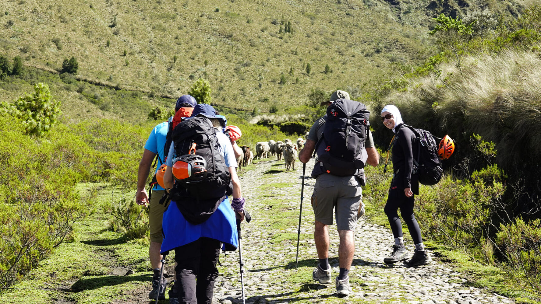 Llanganates trekking