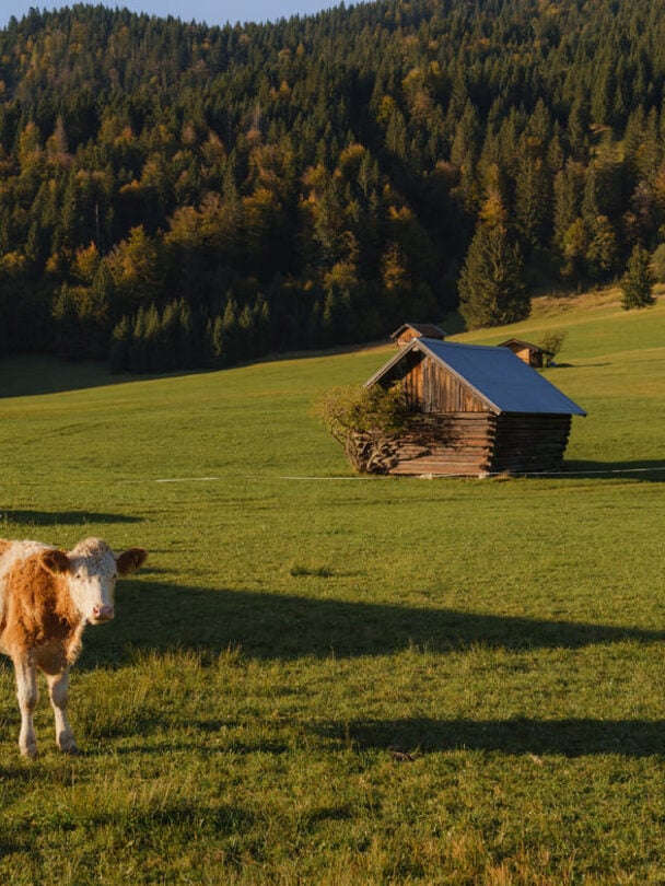 Self guided Munich to Venice hiking tour