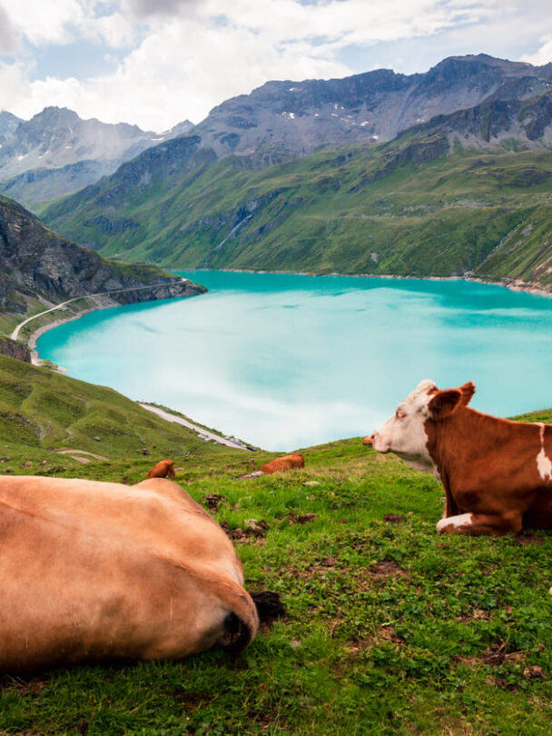 Walkers Haute Route East