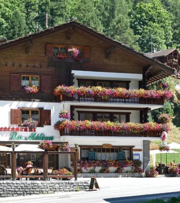 Walkers Haute Route East