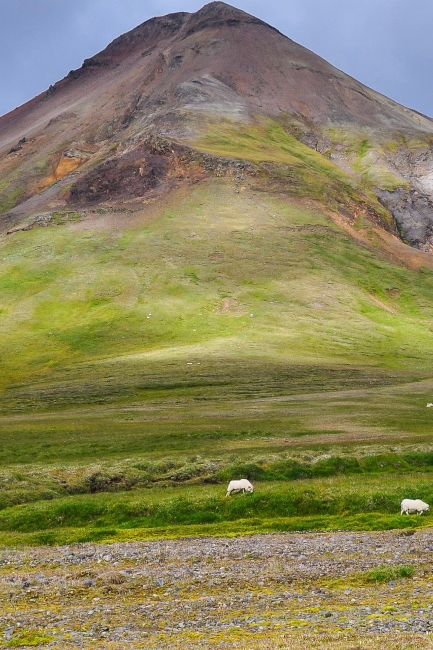 Lush green and mountain in Iceland