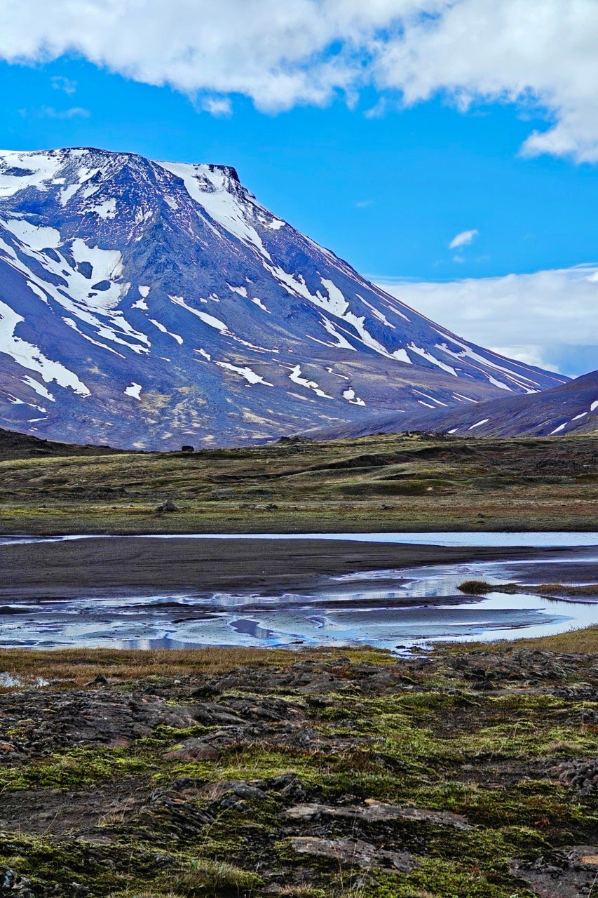 Mountain Iceland river view