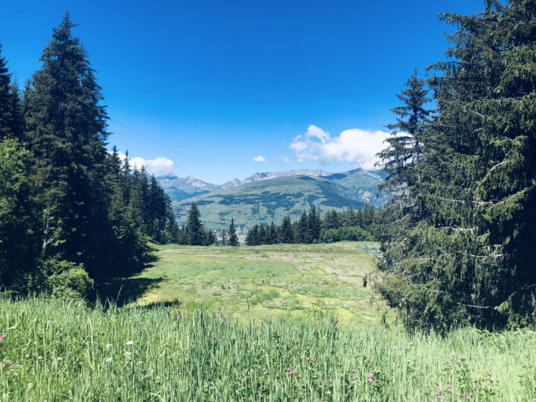 Bourg St Maurice