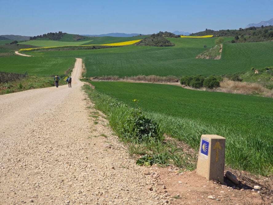 Pilgrims Walking the Camino Frances Through Rural Landscape in Spain