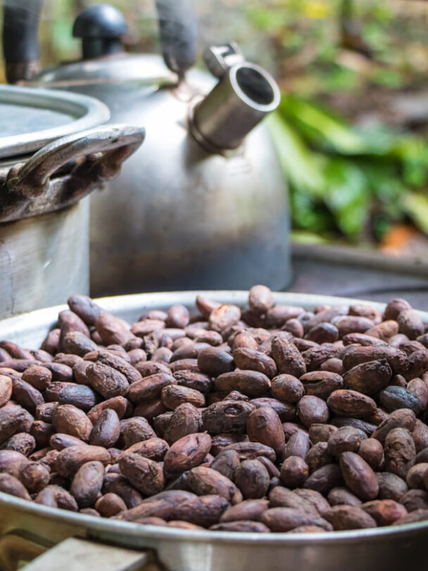 Osa Peninsula Corcovado