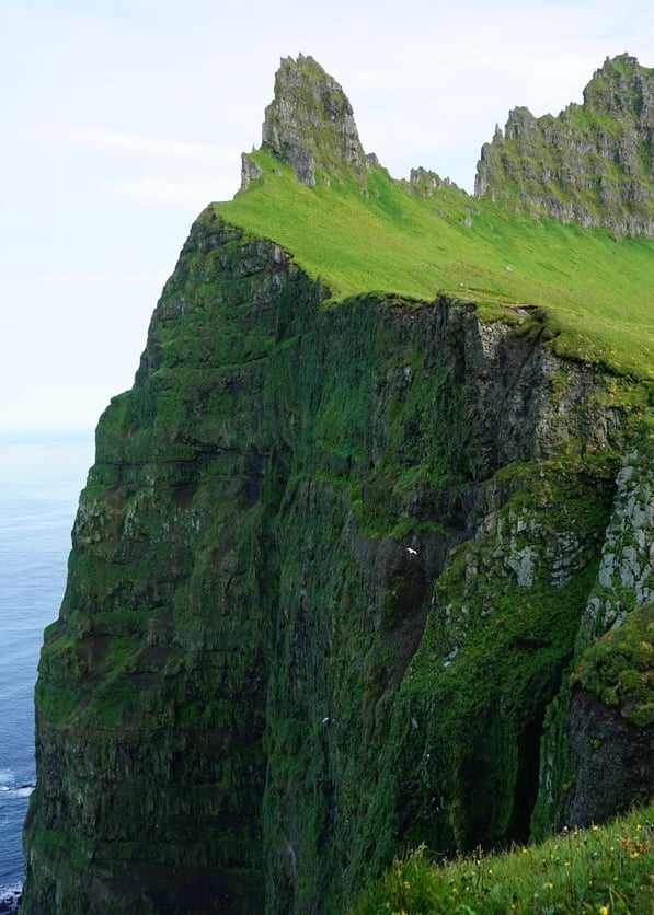 Cliff Hornstrandir