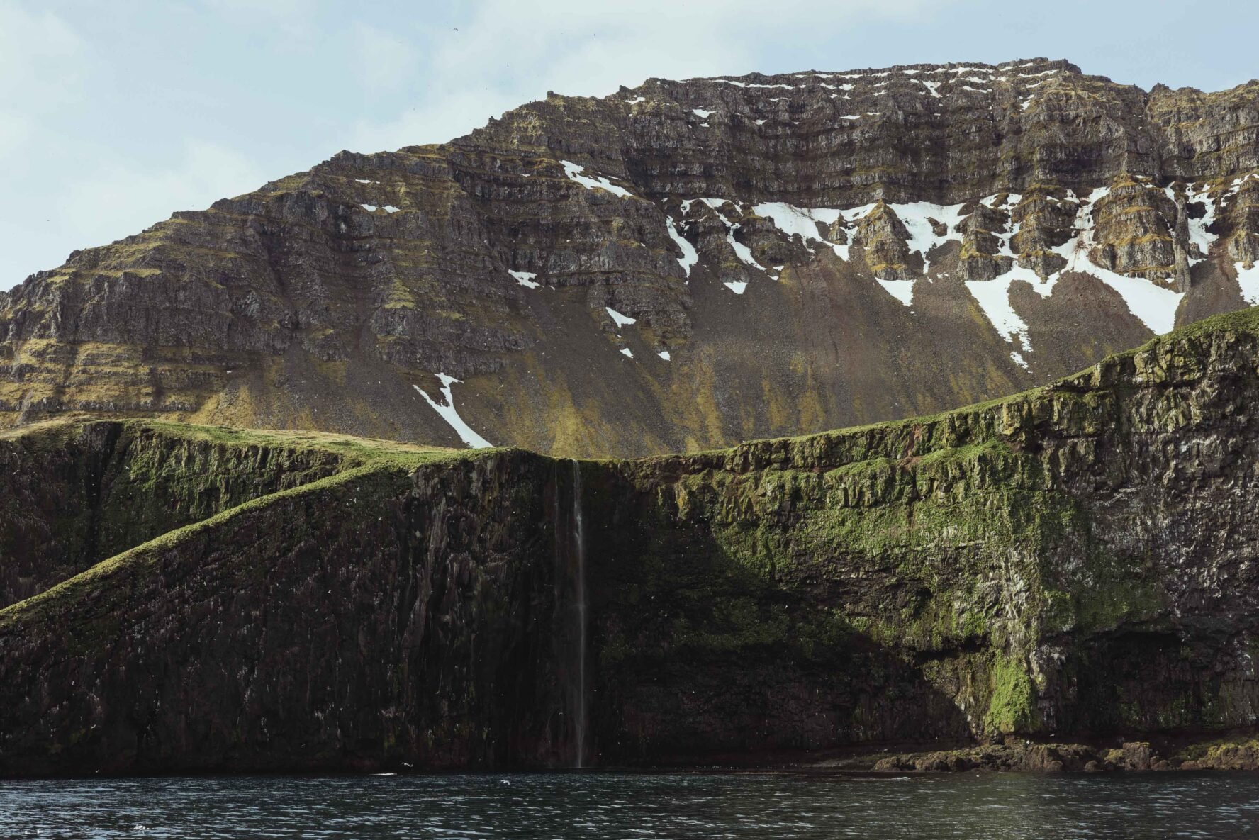 Cliffs Hornstrandir summer