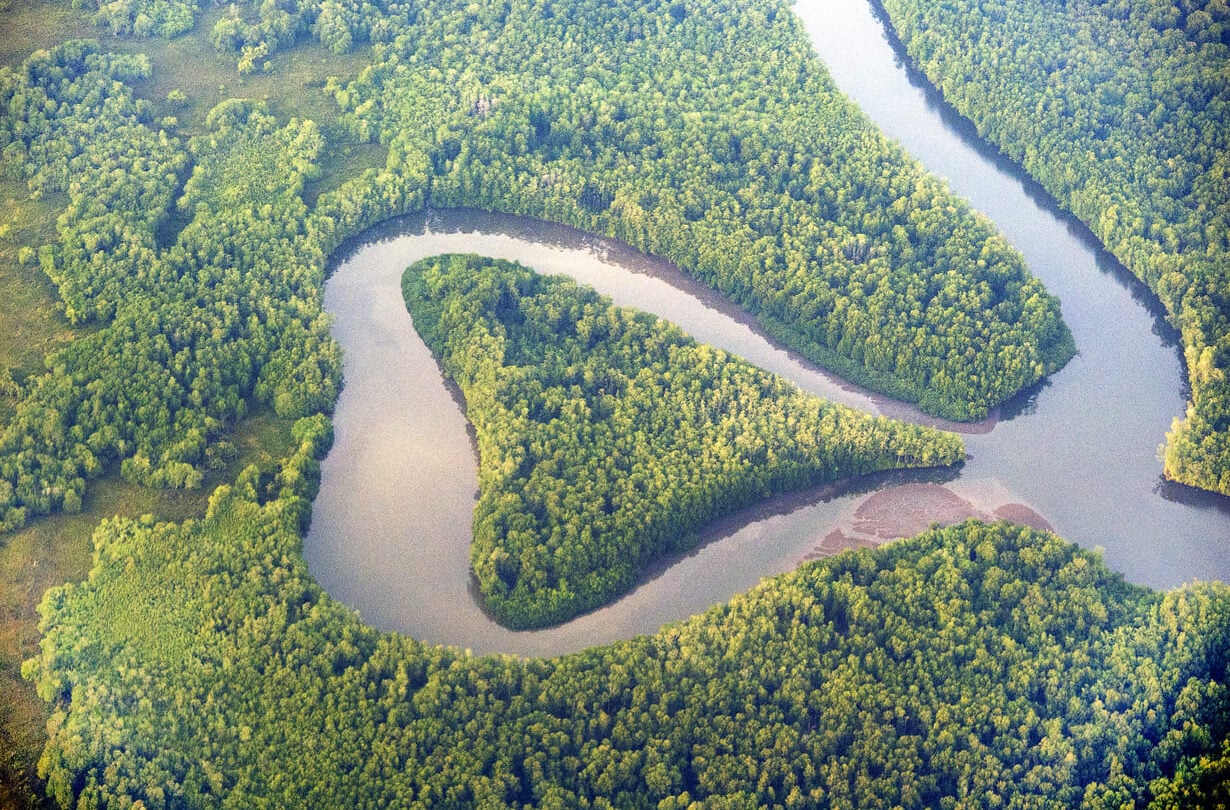 Corcovado aerial river