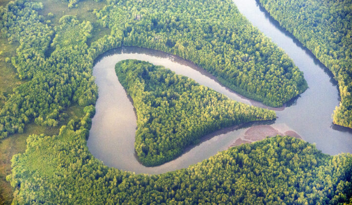 Corcovado aerial river