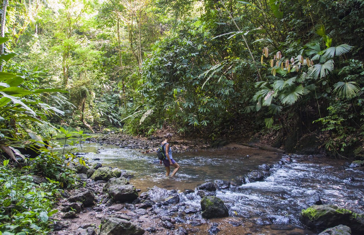 Cross stream Corcovado