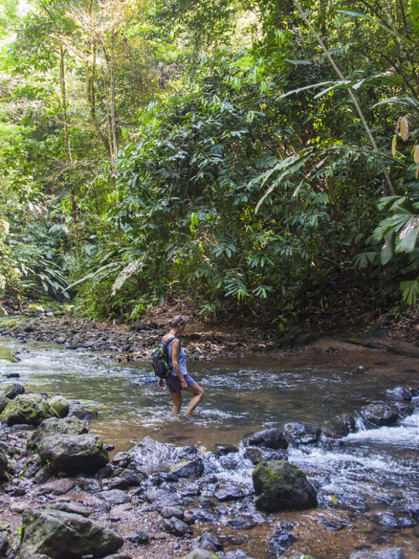 Osa Peninsula Corcovado