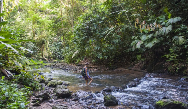 Cross stream Corcovado
