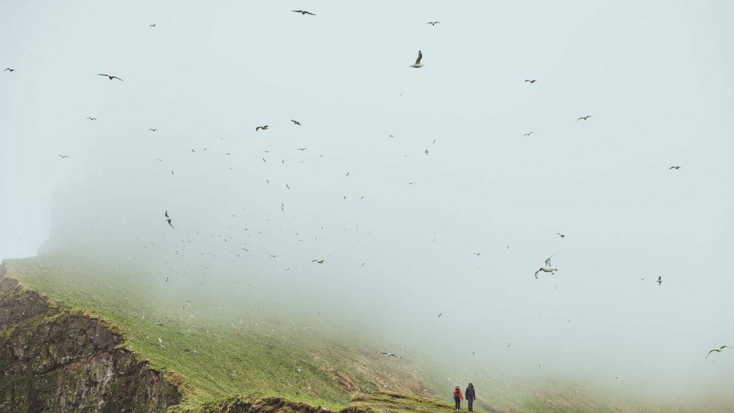Foggy Hornstrandir Iceland