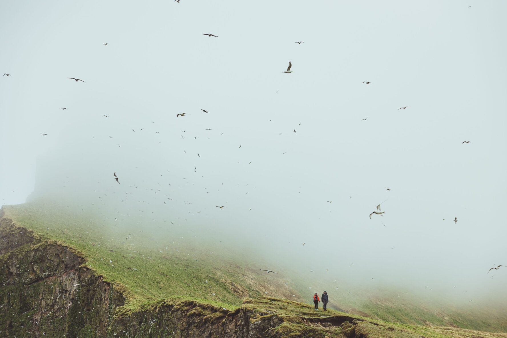Foggy Hornstrandir Iceland