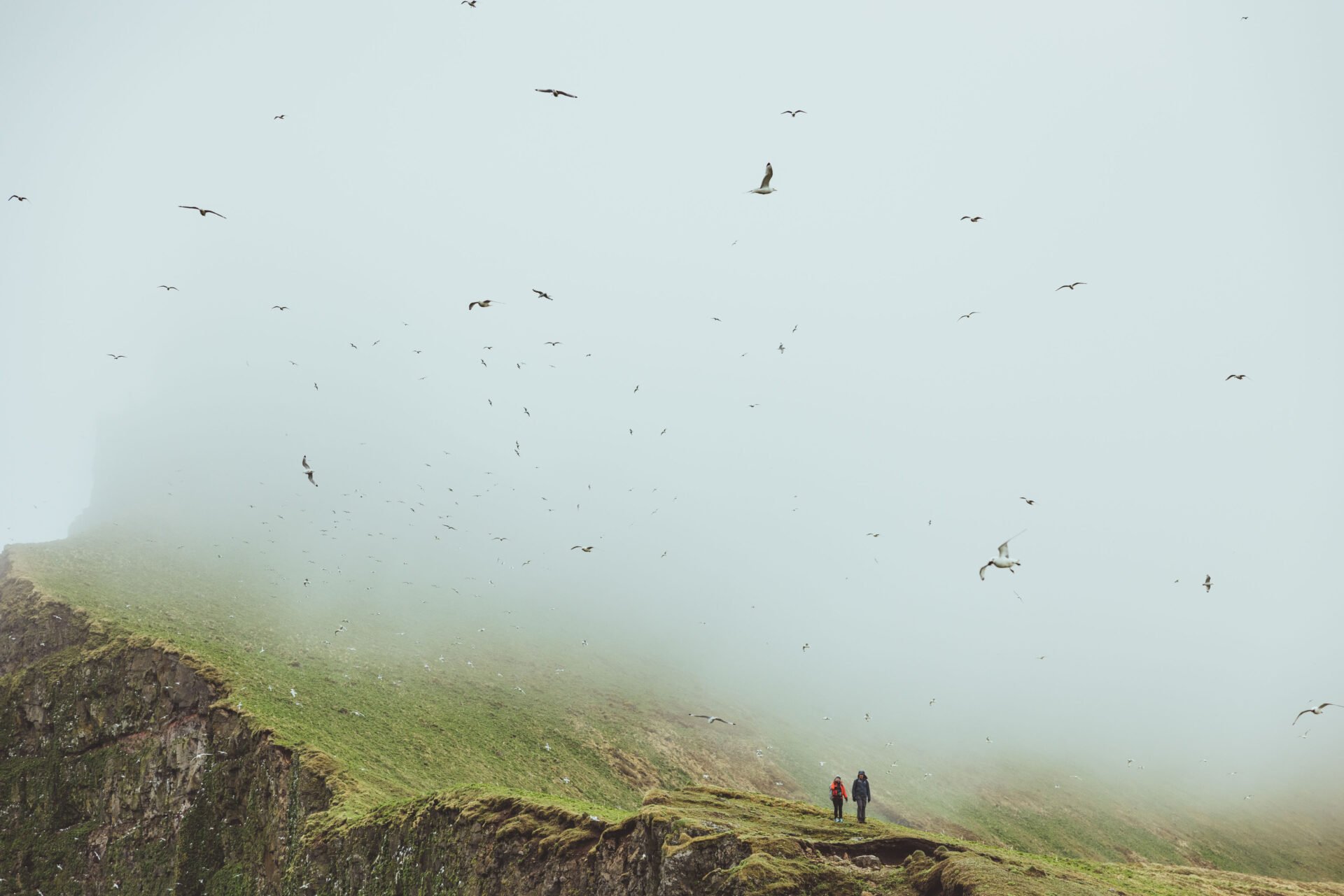 Foggy Hornstrandir Iceland