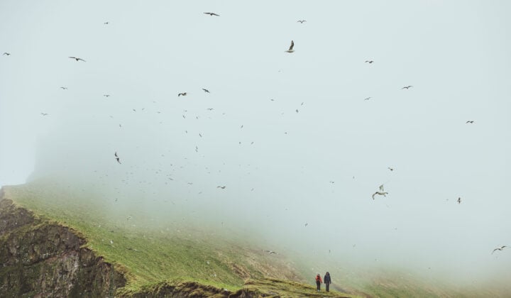 Foggy Hornstrandir Iceland