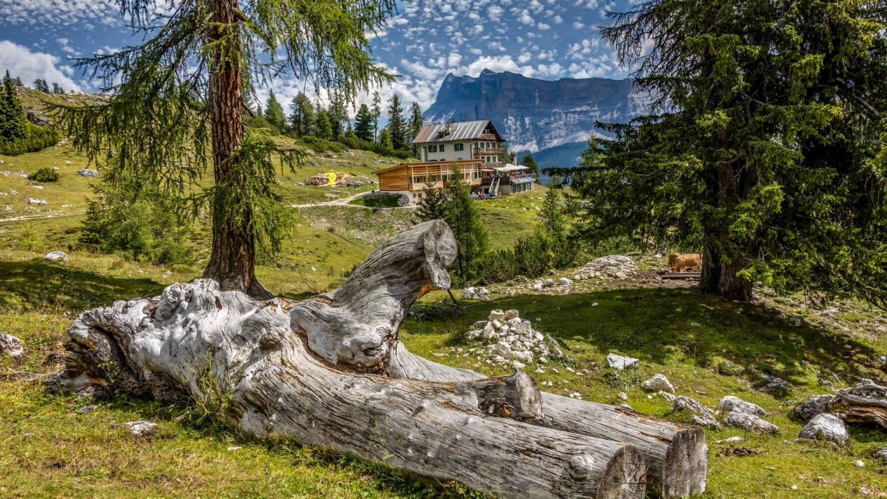 Gardenacia rifugio