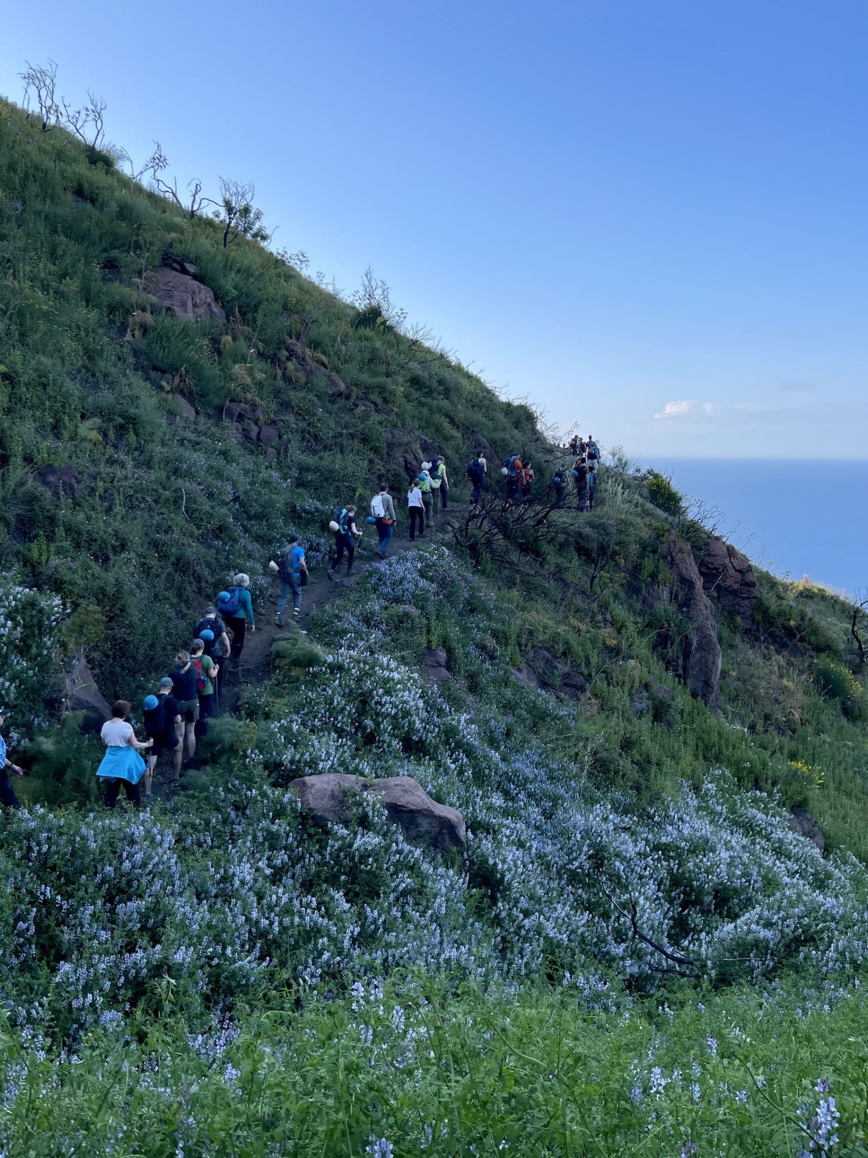 Group hiking by sea in Sicily