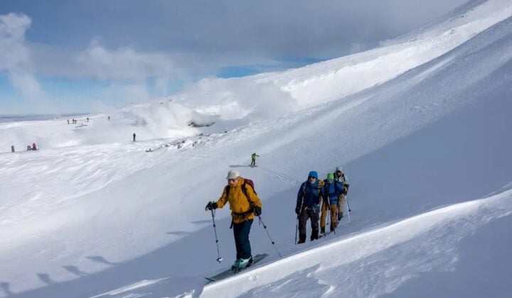 Group of skiers Hokkaido