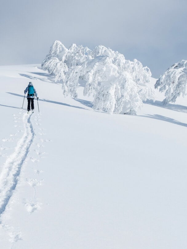 Hokkaido ski trip