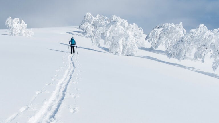 Hokkaido ski trip