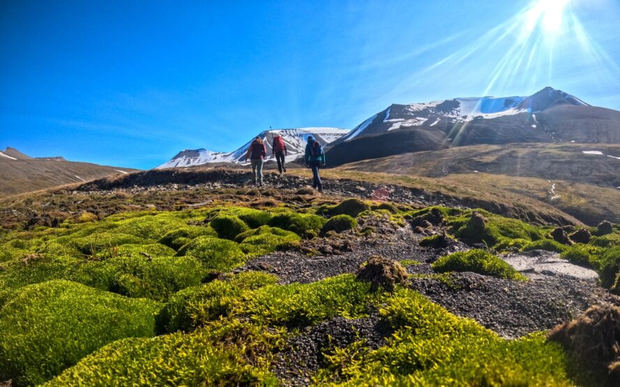 Best time to visit Svalbard - hikers in the Svalbard tundra