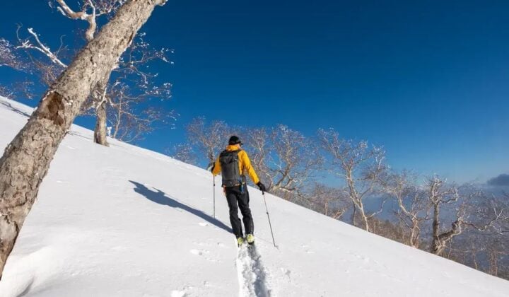One skier Honshu