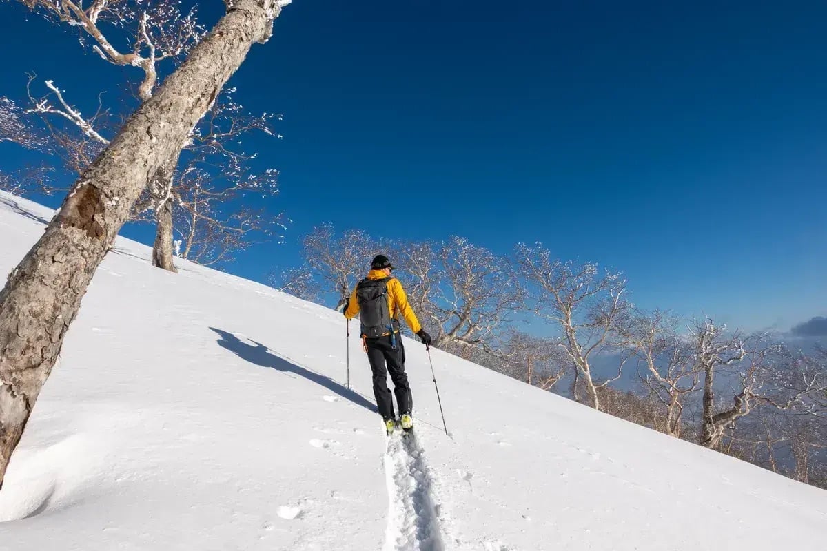 One skier Honshu