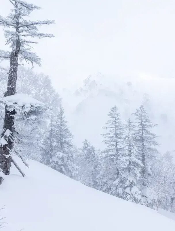 Hokkaido ski trip