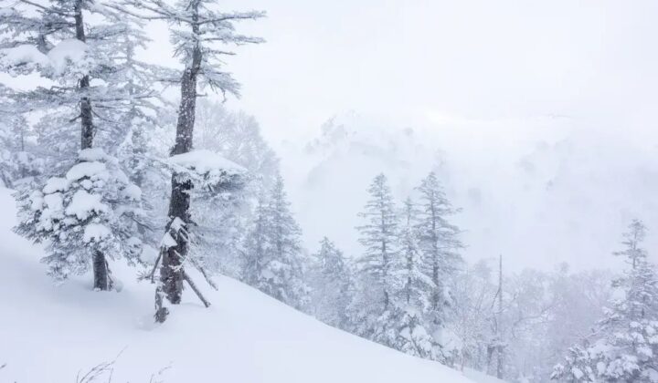 Snowy hills Hokkaido