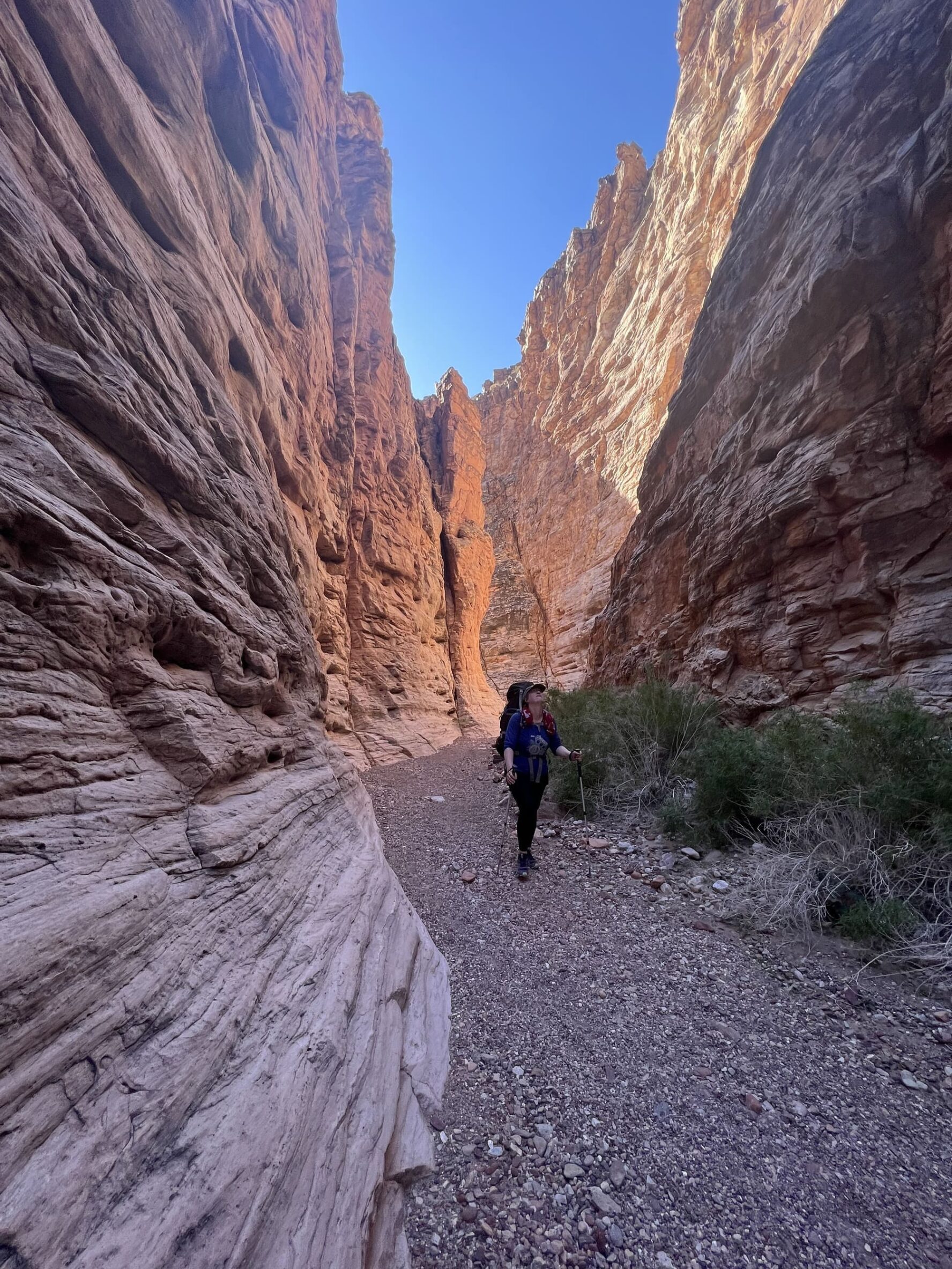 Woman hiker in the Grand Canyon