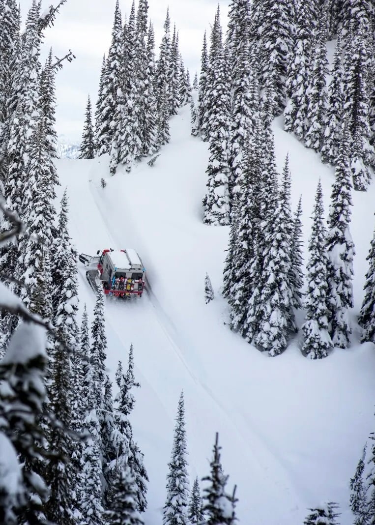 Cat ski Revelstoke