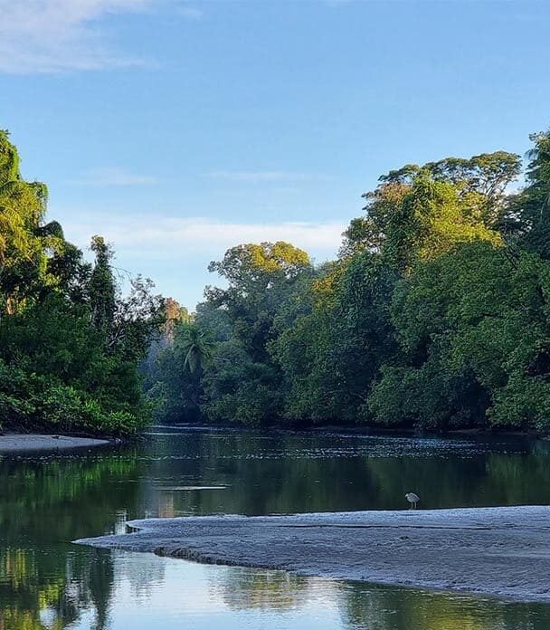 Corcovado national park tour